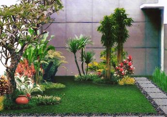 Dana Cupet Bisa Bikin Taman, Ini Daftar Tanaman Harga Terjangkau