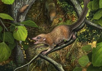 Apakah Primata Purba Berdampingan dengan T. Rex? Bukti Baru Perkuat Teori