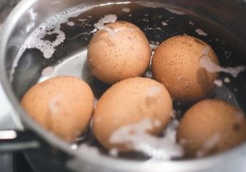 Yakin Masih Mau Rebus Telur dengan Kebiasaan ini? Bahayanya Bagi Tubuh Sangat Mengancam Nyawa Seisi Rumah