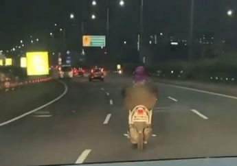 Emak-Emak Picu Kecelakaan Gegara Belok Sembarangan, Ingat Lagi Kapan Waktunya Nge-sein