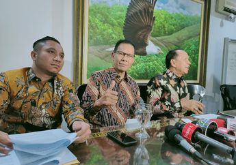 Masalah Rumah Tangga Desiree Tarigan Kian Memanas, Kuasa Hukum Hotma Sitompul: Hotman Paris Olah Ini Jadi Cerita Sinetron!