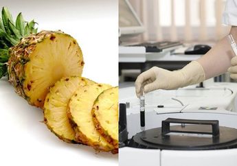 Sering Dianggap Momok Menakutkan Bagi Ibu Hamil, Buah Nanas Ternyata Manjur Obati Penyakit Ganas Ini