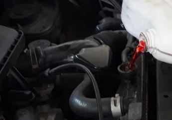 Air dalam Radiator Mobil Baiknya Pakai Coolant, Ada Banyak Untungnya