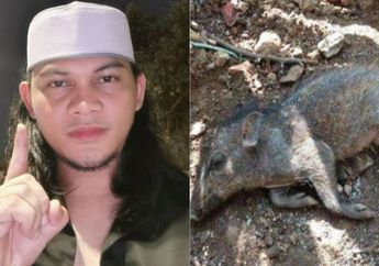 Ungkap Ciri-ciri Babi Ngepet yeng Sebenarnya, Mbah Mijan Berani Pastikan Babi yang Hebohkan Warga Depok Bukan Makluk Jadi-jadian