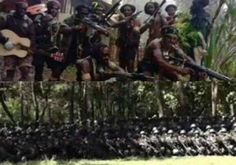 KKB Papua Angkat Senjata, Markas Mereka yang Tersembunyi di Tengah Hutan Rimba Hancur Lebur dalam Hitungan Menit, Aparat TNI Polri Gunakan Taktik Ini