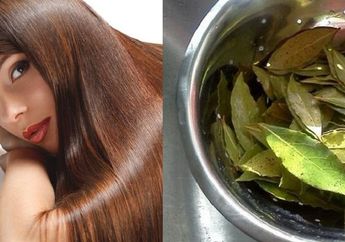Jangan Diremehkan! Ternyata Bilas Rambut Gunakan Air Rebusan Daun Salam Bisa Berikan Efek Luar Biasa