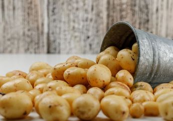 Kasih Tahu Pembantu, Mulai Hari Ini Jangan Simpan Kentang Kupas Dekat Sayur Busuk, Begini Cara Agar Kentang Awet Berbulan-bulan!