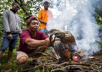 Untold Flores: Ritual Adak Pua Kopi di Colol Manggarai Timur