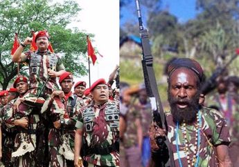 Tantang Pasukan Setan, 2 Anggota KKB Papua Tewas Diterjang Peluru Kopassus