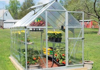 Perlukah Greenhouse untuk Berkebun Hidroponik? Ini Penjelasannya!