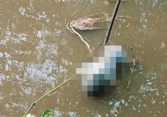 Hamil Bayi Laki-laki Hasil Hubungan Di Luar Nikah Dengan Pacar Dari Desa Sebelah, Siswi SMA Ini Nekat Buang Sang Buah Hati Di Sungai Samping Rumah, Tali Pusar Masih Menempel Saat Bayi Ditemukan 2 Hari Kemudian