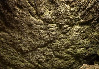 Arkeolog Menemukan Ukiran Rusa Prasejarah Tertua di Skotlandia