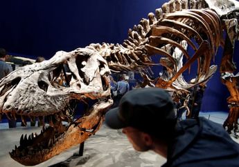 Terungkap! 2,5 Miliar Tyrannosaurus Rex Pernah Hidup di Bumi