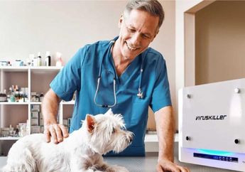 Tips Memilih Penjernih Udara, Ada Teknologi UV-C di Air Purifier Viruskiller Apa Kelebihannya dari Yang Lain?