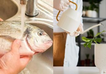 Duh, Yakin Masih Mau Buang Air Bekas Cucian Ikan Setelah Tahu Fakta Mencenangkan ini? Para Ibu Pasti Nyesel Seumur Hidup