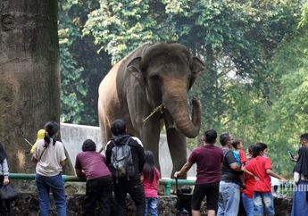 Weekend Mau ke Kawasan Wisata di Jakarta? Pastikan Tahu yang Satu Ini