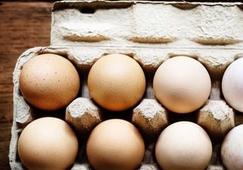 Daya Tahannya Bisa Sampai 4 Bulan, Mulai Sekarang Lakukan Hal Ini Sebelum Telur Masuk Kulkas