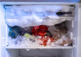 Bertubi-tubi Dibersihkan, Ternyata Bunga Es di Freezer Sering Muncul Gegara Taruh Makanan Ini, Pantas Gak Hilang-hilang