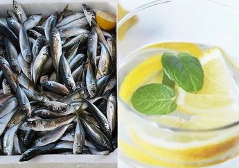 BERITA POPULER : Ikan yang Bisa Sebabkan Kanker Sampai Bahaya Minum Air Hangat dan Lemon Di Pagi Hari