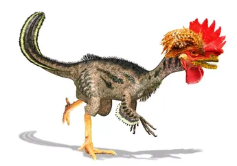 Upaya Sains Merekayasa Genetik Ayam Supaya Kembali Berwujud Dinosaurus