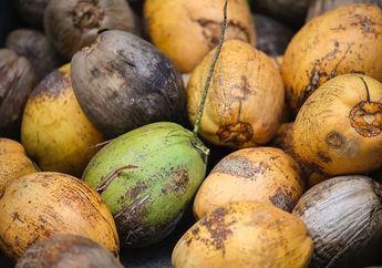 Harga Kelapa Hijau Meroket Rp 50 Ribu Per Butir Gegara Klaim Sembuhkan COVID-19, Ini Dia 5 Alternatif Cairan yang Khasiatnya Mirip Air Kelapa
