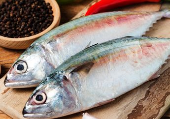 Nyesel Baru Tahu Sekarang, Ikan Kembung Ternyata Punya Kandungan yang Berkali-kali Lipat Lebih Sehat dari Ikan Salmon, Begini Kata Ahli Gizi