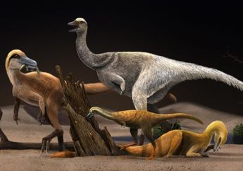 Alvarezsaurus, Dinosaurus yang Tubuhnya Menyusut Jadi Seukuran Ayam