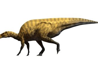 Paleontolog Mengidentifikasi Spesies Dinosaurus Baru di Spanyol