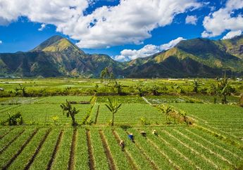 Jawaban Manfaat Ekonomi Seperti Apakah yang Diperoleh Bangsa Indonesia Karena Pengaruh Letak Geografisnya