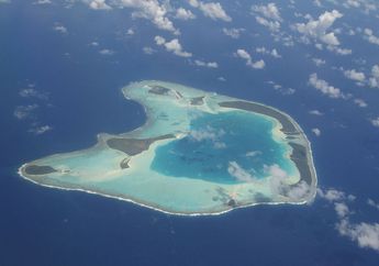 Invasi Tikus Mengambil Alih Pulau di Polinesia, Pelestari Bersiasat