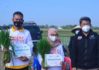 Bersama Petani Perkuat Ketahanan Pangan, Sharp Mapan Targetkan Hasil Panen 2 Kali Lipat Lewat Pemakaian Benih Unggul