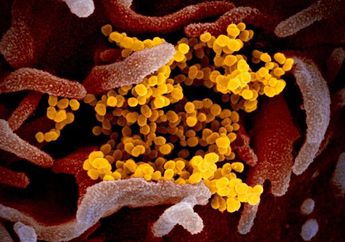 Dua Tahun Pagebluk, Virus Corona dan Evolusinya yang Belum Berakhir