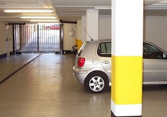 Parkir Mobil Kelamaan di Lower Ground Apartement, Awas Jadi Sarang Binatang Menjijikkan Ini
