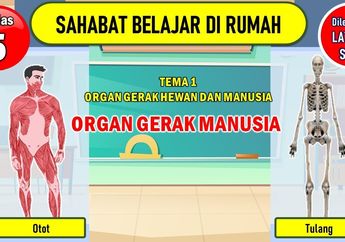 Mengapa Tanpa Organ Gerak Manusia dan Hewan Tidak Dapat Bergerak? Ini Jawaban Tema 1 Kelas 5 SD