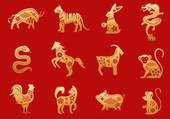 Berita Shio Babi Terbaru Hari Ini Grid Id