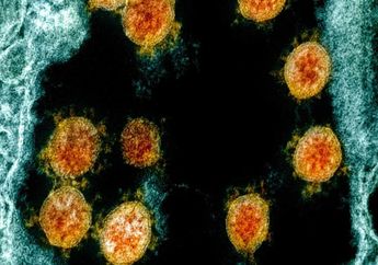 Varian Baru Virus Corona dengan 46 Mutasi Teridentifikasi di Prancis