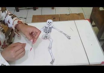 Contoh Organ Gerak Pasif Manusia Serta Pengertiannya, Jawaban Tema 1 Kelas 5 SD