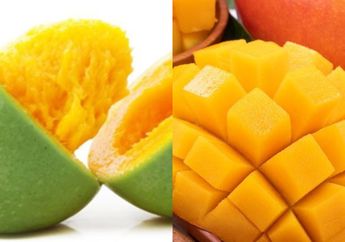 Aneh tapi Nyata! Biasa Diabaikan Ternyata Penuh Manfaat, Konsumsi Biji Buah Mangga Bisa Cegah Penyakit Kanker Hingga Kecantikan