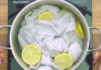 Mulai Sekarang Cobalah Tambahkan Lemon Pada Saat Merendam Pakaian Putih, Rupanya Hasil Luar Biasa Ini Bisa Anda Dapatkan