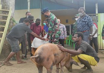 Nasi Sudah Jadi Bubur, Foto Pemberian Babi Sebagai Tanda Maaf Beredar, Danlanud Merauke Pasrah Dicopot Panglima TNI
