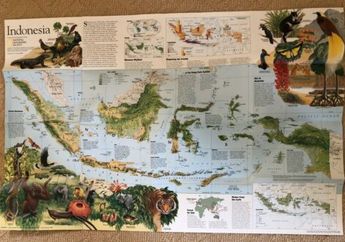 Jawaban Kondisi Geografis Pulau-pulau di Indonesia Berdasarkan Peta, dari Sumatera Hingga Bali dan Nusa Tenggara