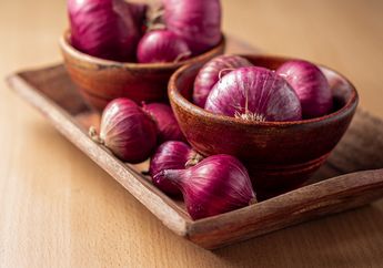 Siapkan Semprotan Berisi Potongan Bawang Merah, Hewan Menyebalkan Ini Akan Lari Terbirit-birit, Simak Bahan-bahannya Yuk!