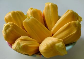 Tolong Jangan Makan Buah Nangka Dulu bagi Orang-orang dalam 5 Kondisi Ini