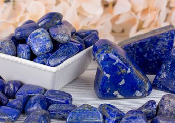 Mengapa Warna Biru Sangat Sulit Ditemukan di Alam Liar?