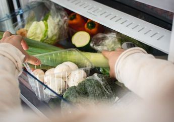 Ngapain Beli Baru, Kulkas Sudah Tidak Dingin Bisa Diperbaiki Sendiri dengan Cara ini, Ibu Rumah Tangga Juga Bisa