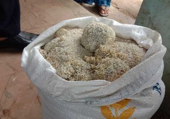 Geger Beras Bansos Plek Gumpalan Batu, Terkuak Alasannya hingga Buat Menko PMK Angkat Bicara dan Singgung Masalah Kualitas