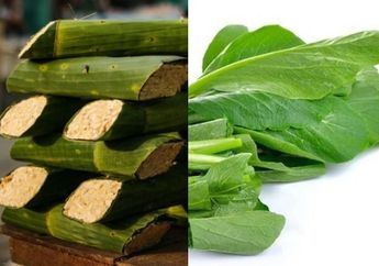 BERITA POPULER : Jangan Lagi Beli Tempe dengan 3 Ciri Ini Sampai Orang yang Dilarang Makan Sayur Sawi