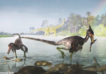 Ypupiara lopai, Spesies Baru dari Dinosaurus Berbulu di Brasilia