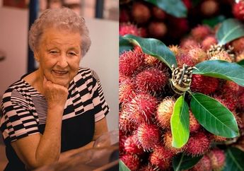 Astaga Andai Saja Orang Beruban Tahu dari Dulu Manfaat Daun Rambutan, Ternyata Efektif Berantas Uban Sampai ke Akar-akarnya
