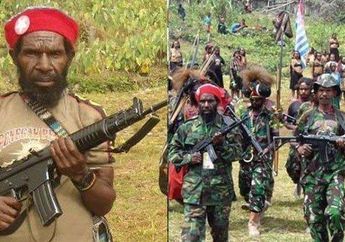 Indonesia Masuk Urutan Ke-27 Negara dengan Risiko Kekejaman Massal, Mendadak Penelitian Ini Soroti Ada 'Potensi Pembunuhan Massal' di Papua Mirip Insiden Timor Timur, Ini Pemicunya
